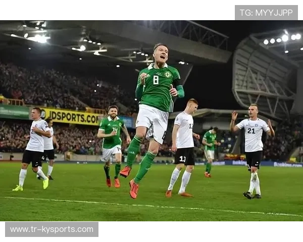 奥地利大胜北爱尔兰，晋级形势一片大好，奥地利对北爱尔兰比分